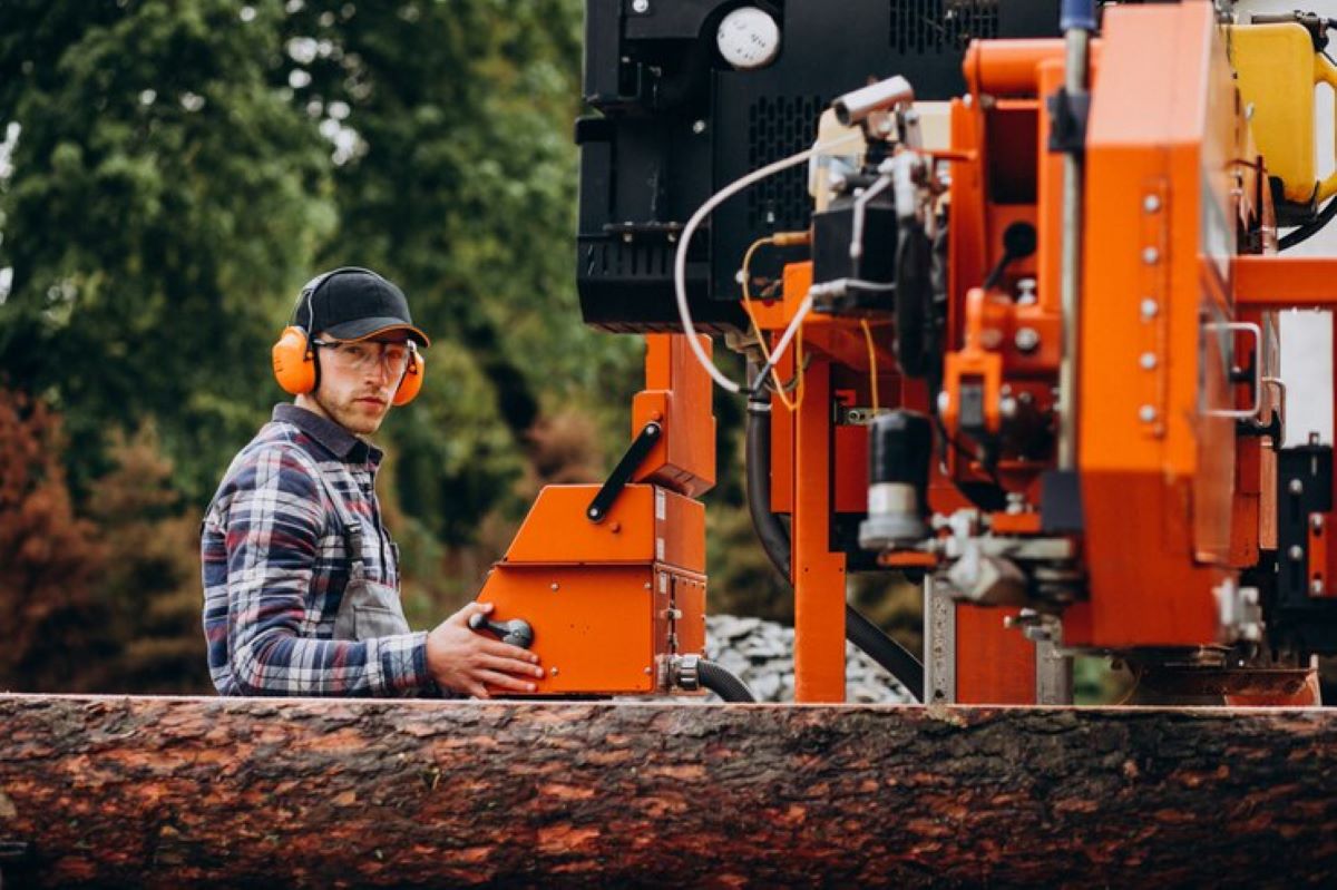 How to Grind Tree Stumps: A Step-by-Step Guide